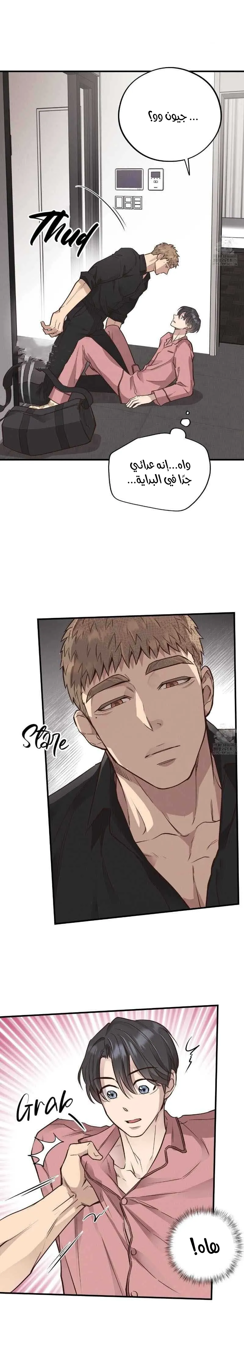 دب العسل – الفصل 40 page 11